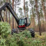 sustainable wood being sourced